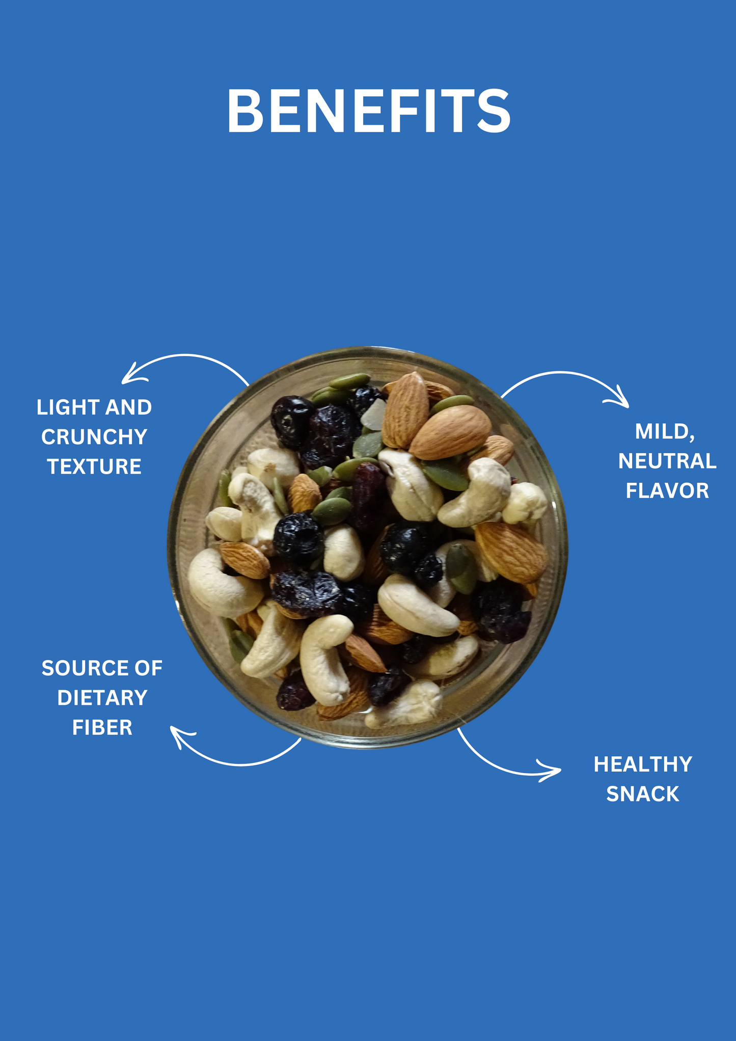 Premium Mixed Dry Fruits